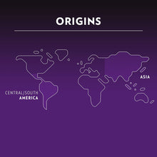 Load image into Gallery viewer, Espresso Intenso - Pack of 60