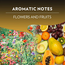 Load image into Gallery viewer, Espresso Lungo - Pack of 60